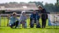 Lierop Fokpaardendag 2016 (95)